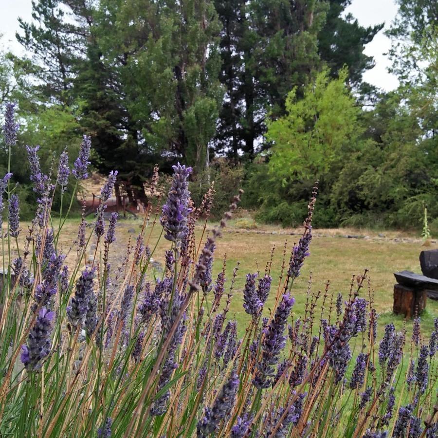 Estancia La Serena Perito Moreno Zewnętrze zdjęcie