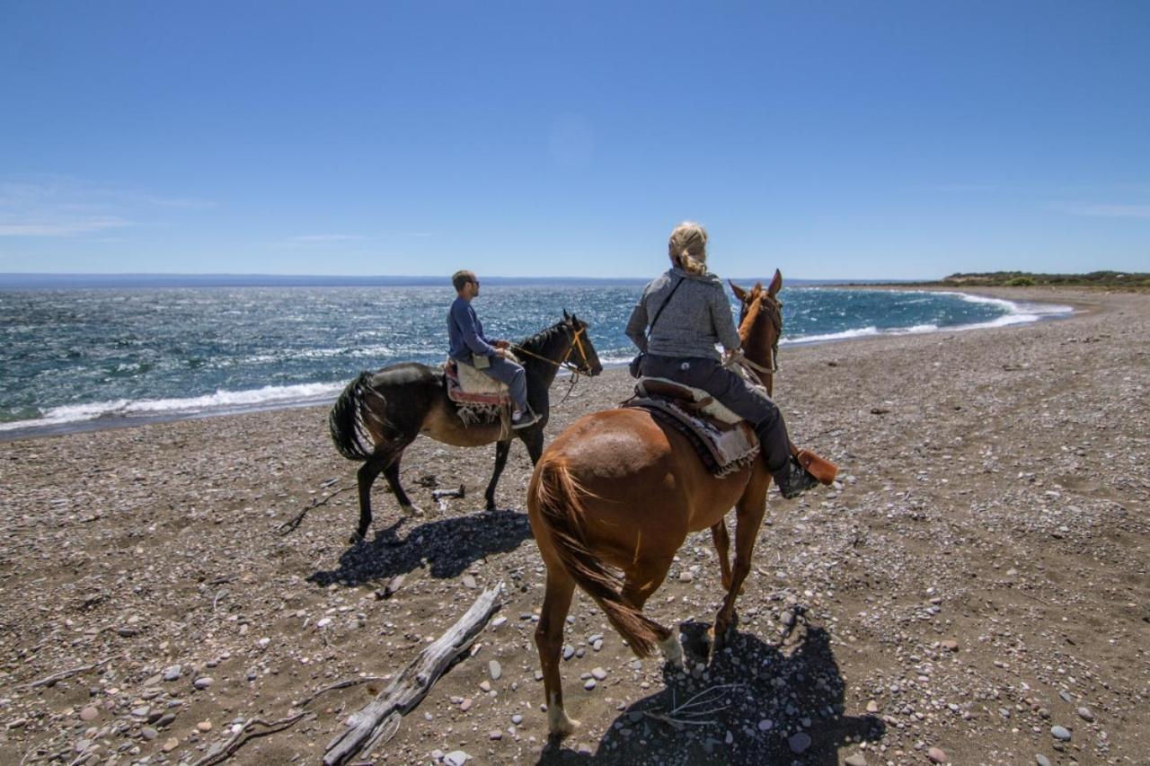 Estancia La Serena Perito Moreno Zewnętrze zdjęcie